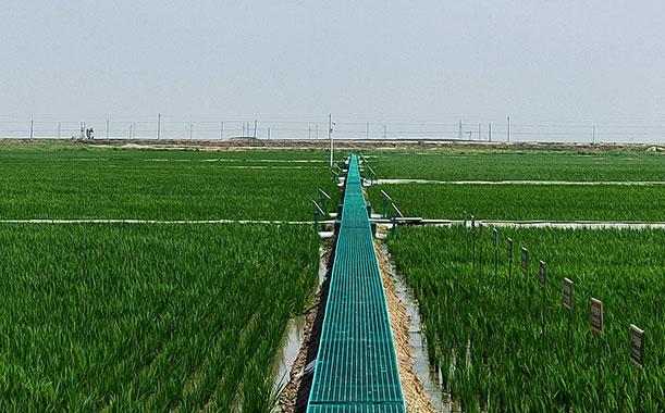 濟源鋼鐵產能置換二期工程開工